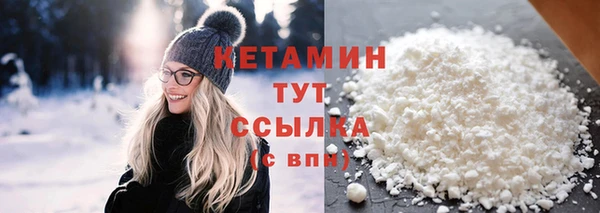 крисы Няндома