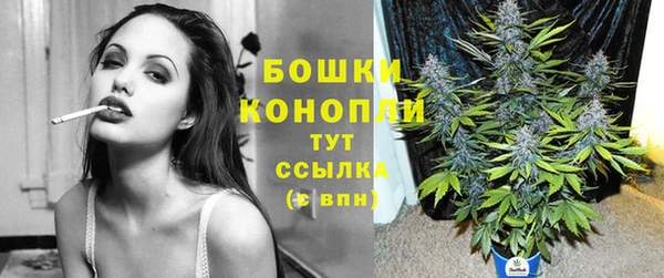 крисы Няндома