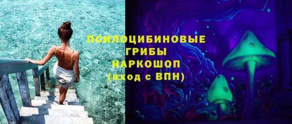 крисы Няндома