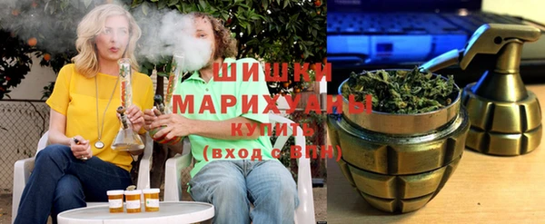 мдпв Гусиноозёрск
