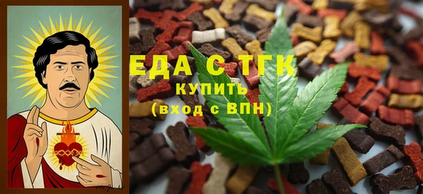 дмт Гусев