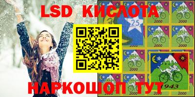 амф Кингисепп