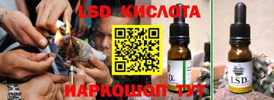 амф Кингисепп