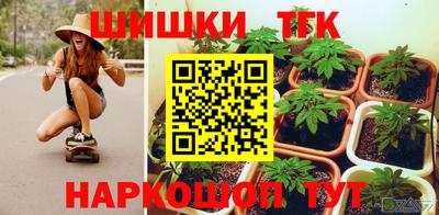 амф Кингисепп