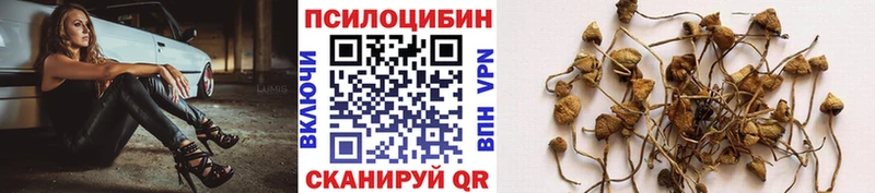Псилоцибиновые грибы мицелий  Осинники 