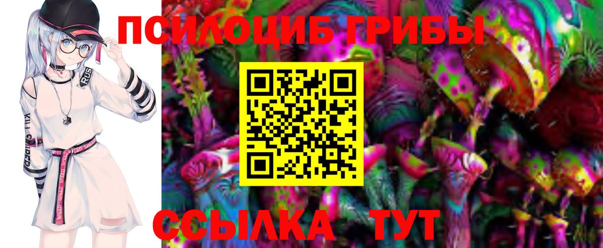 Псилоцибиновые грибы MAGIC MUSHROOMS Осинники
