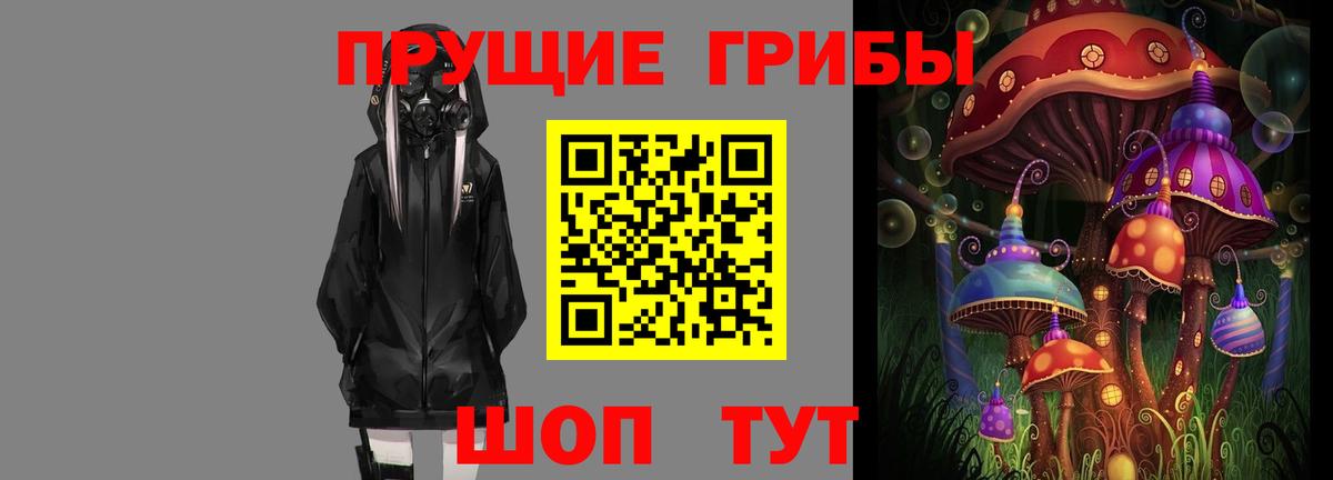 Псилоцибиновые грибы прущие грибы  Вход с VPN  Осинники  цена   Галлюциногенные грибы прущие грибы 